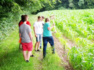 2014-09-20 Geländepraktikum FGK KiAl 2014 03