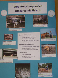2014_11franziskustagp3